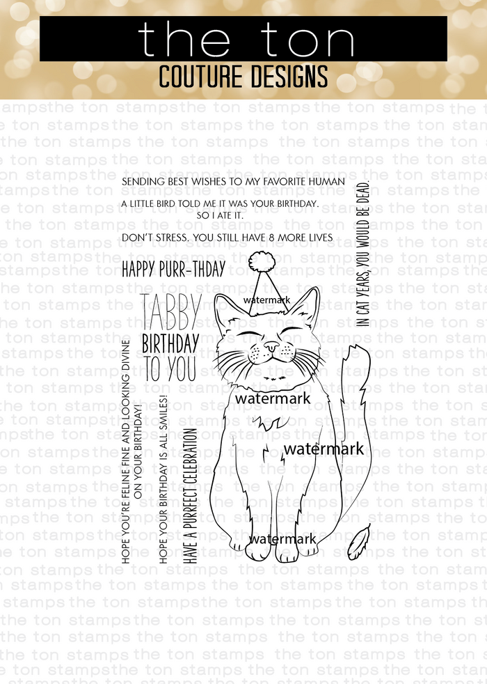 Birthday Cat