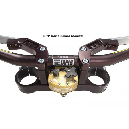 BRP HAND GUARD MOUNTS