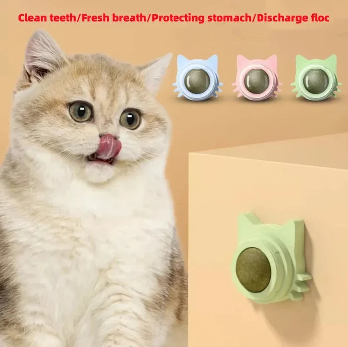 Cat Dental Care Toys that Enhance Digestion, Appetite Stimulant