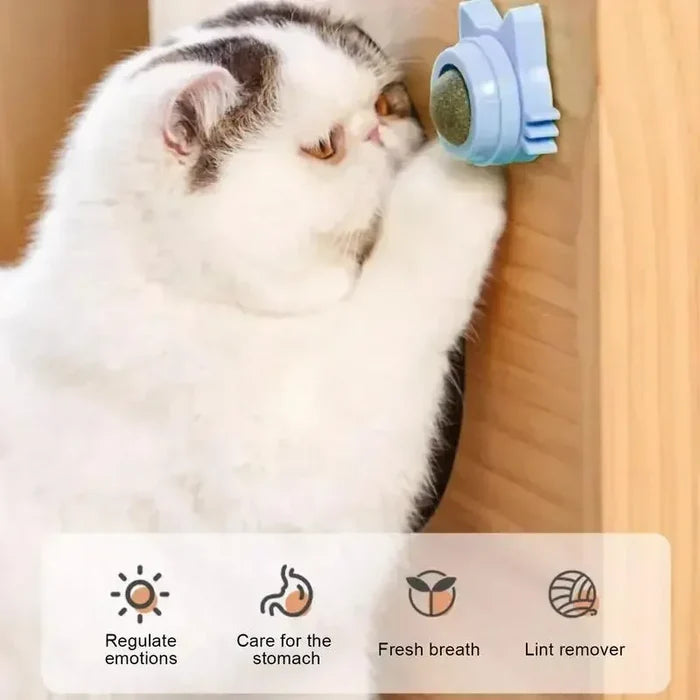 Cat Dental Care Toys that Enhance Digestion, Appetite Stimulant