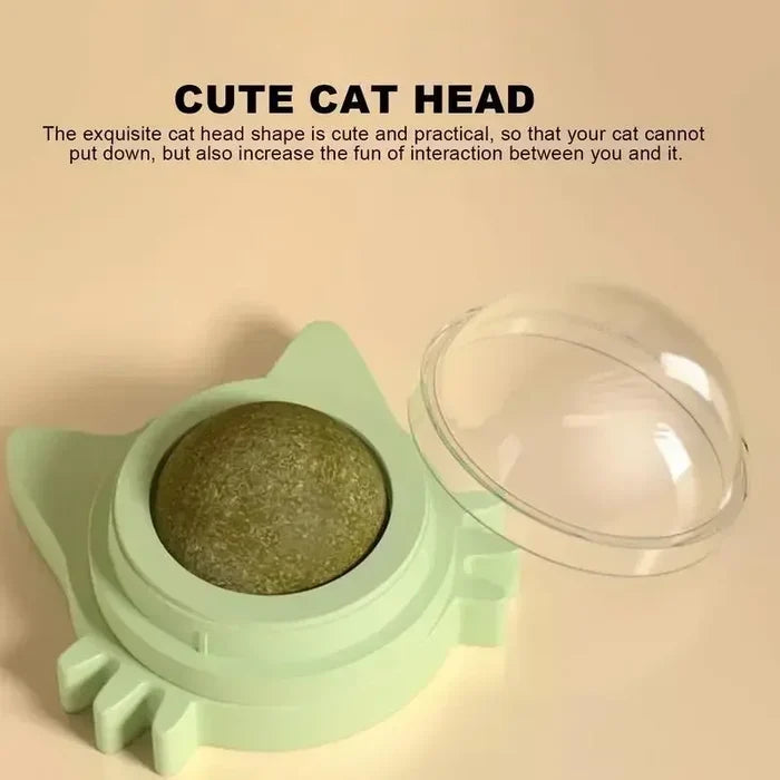 Cat Dental Care Toys that Enhance Digestion, Appetite Stimulant