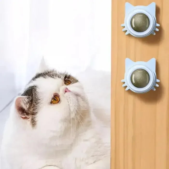 Cat Dental Care Toys that Enhance Digestion, Appetite Stimulant