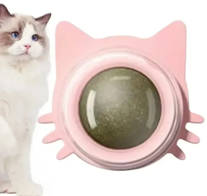 Cat Dental Care Toys that Enhance Digestion, Appetite Stimulant