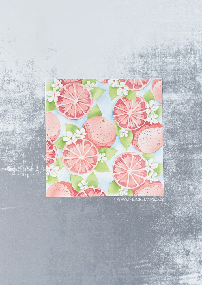Citrus Grove Layering Stencils