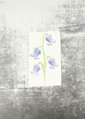 Clematis Buds Layering Stencils