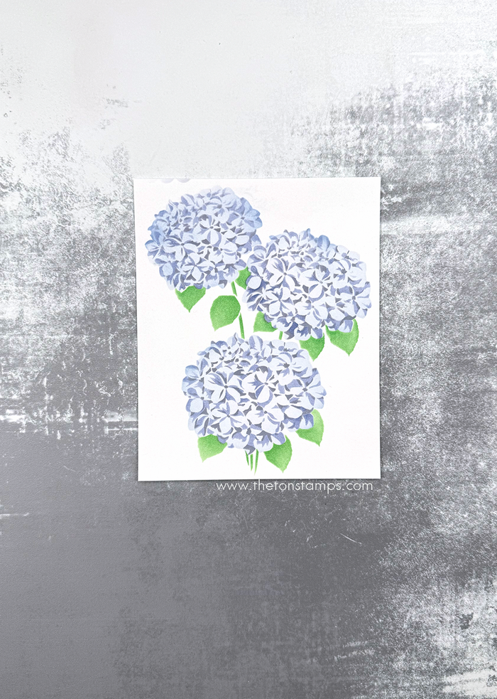 Climbing Hydrangea Layering Stencils