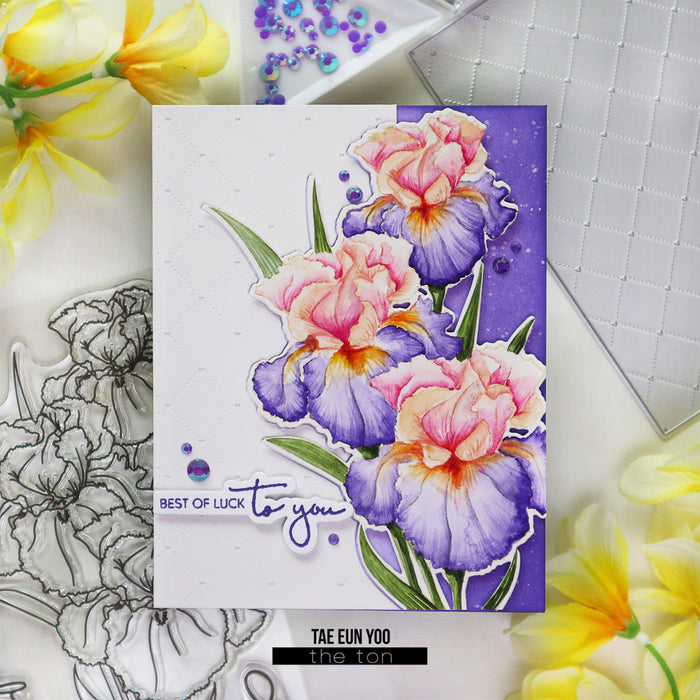 Coming Up Iris