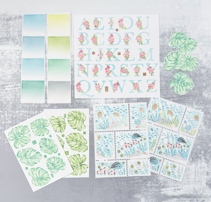 Couture Color - Island Minis