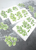 EUcalyptus Stencils*