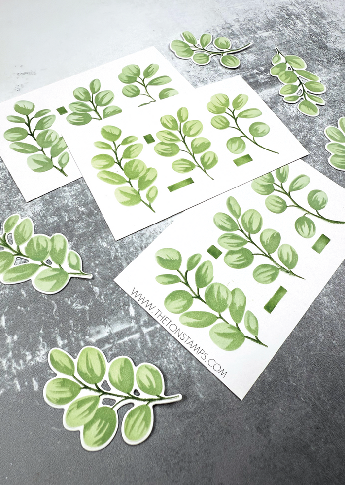 EUcalyptus Stencils*