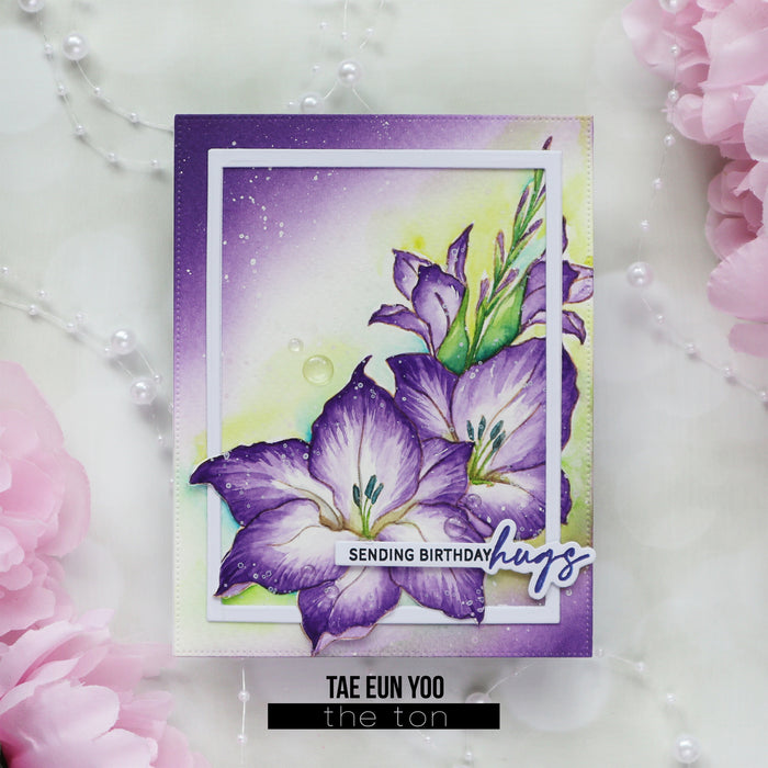 Gladiola Cheer