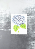 Lone Hydrangea Layering Stencils