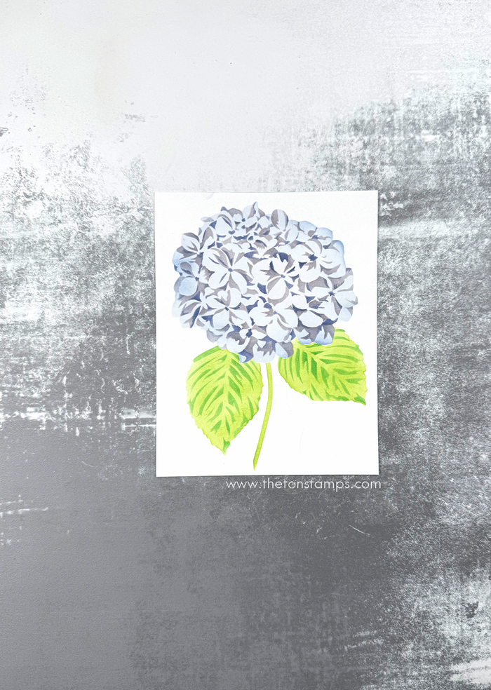 Lone Hydrangea Layering Stencils