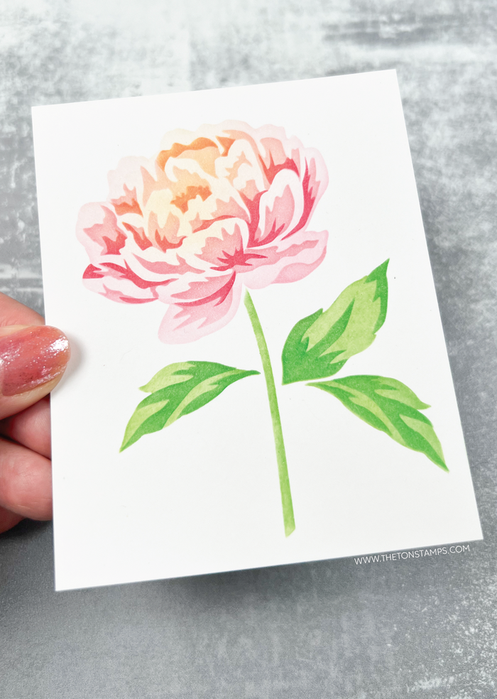 Peony Stem Layering Stencils