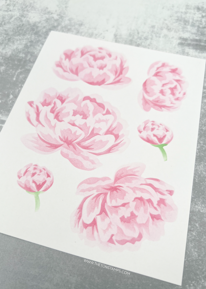 Plush Peonies Unlocked Layering Stencils