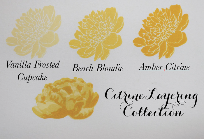 Reinker - Beach Blondie Dye
