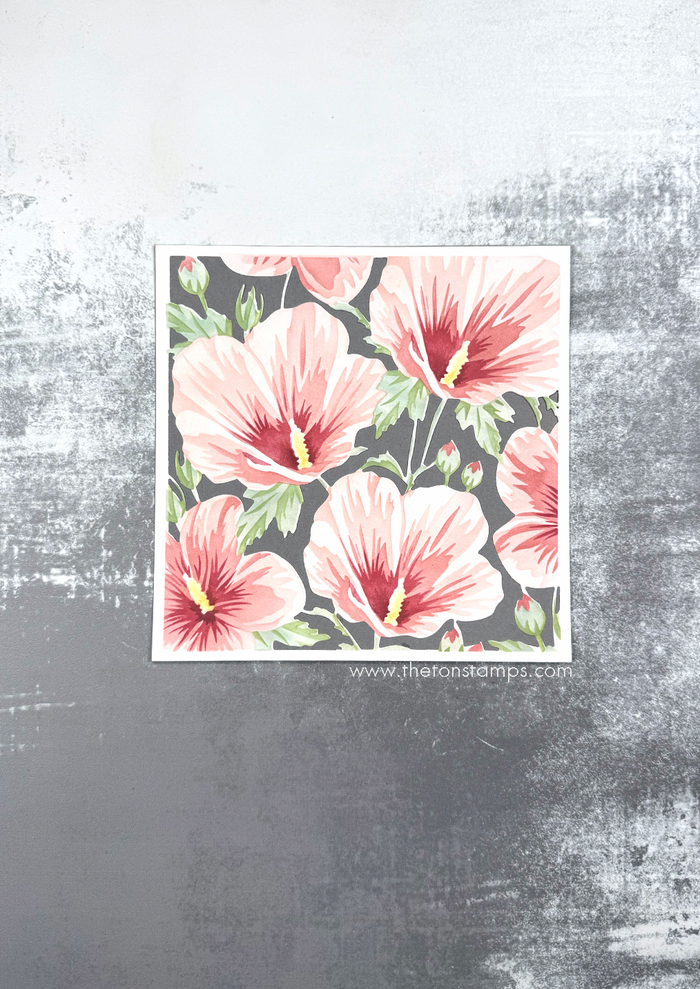 Rose of Sharon Fields Layering Stencils
