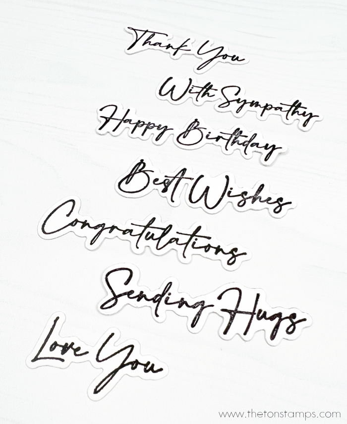 Script Notes
