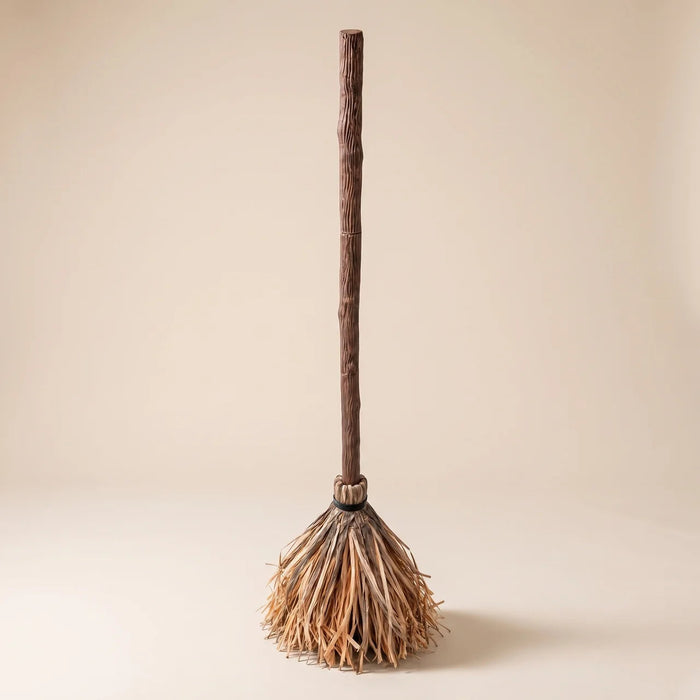 Enchanted broom product view