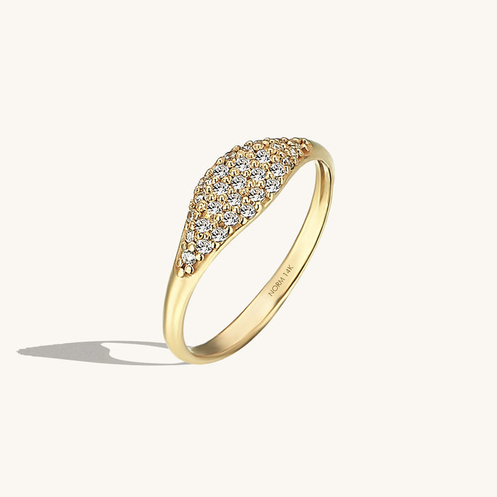 Sparkle Signet Ring in 14k Solid Gold